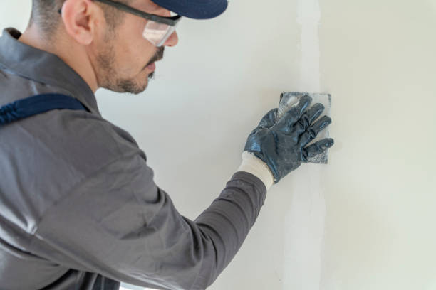 Best Mold Remediation for Rental Properties  in Scobey, MT