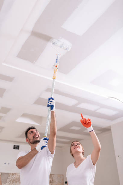 Mold Remediation for Rental Properties in Scobey, MT