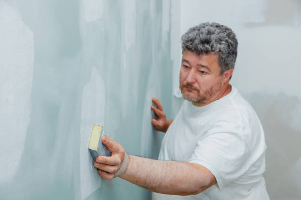 Best Attic Mold Removal  in Scobey, MT